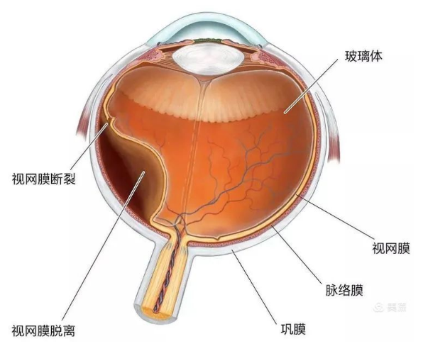 微信圖片_20201106153838.png